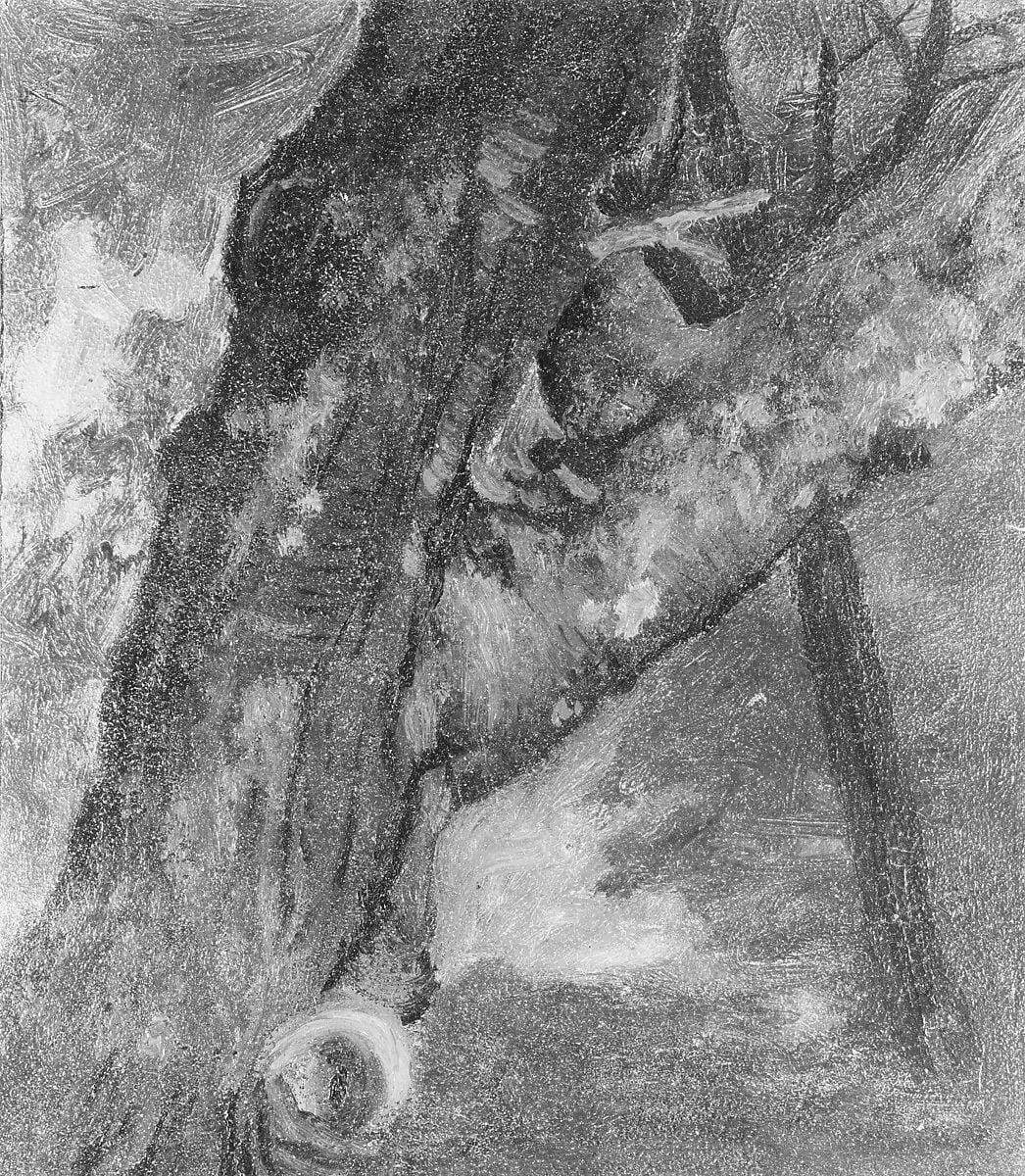 Study of a Tree, detail