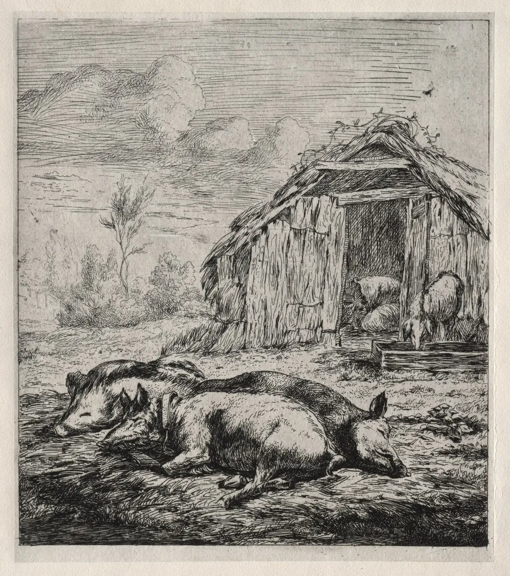 Three Swine Lying in Front of a Sty, by Charles Meryon, 1850