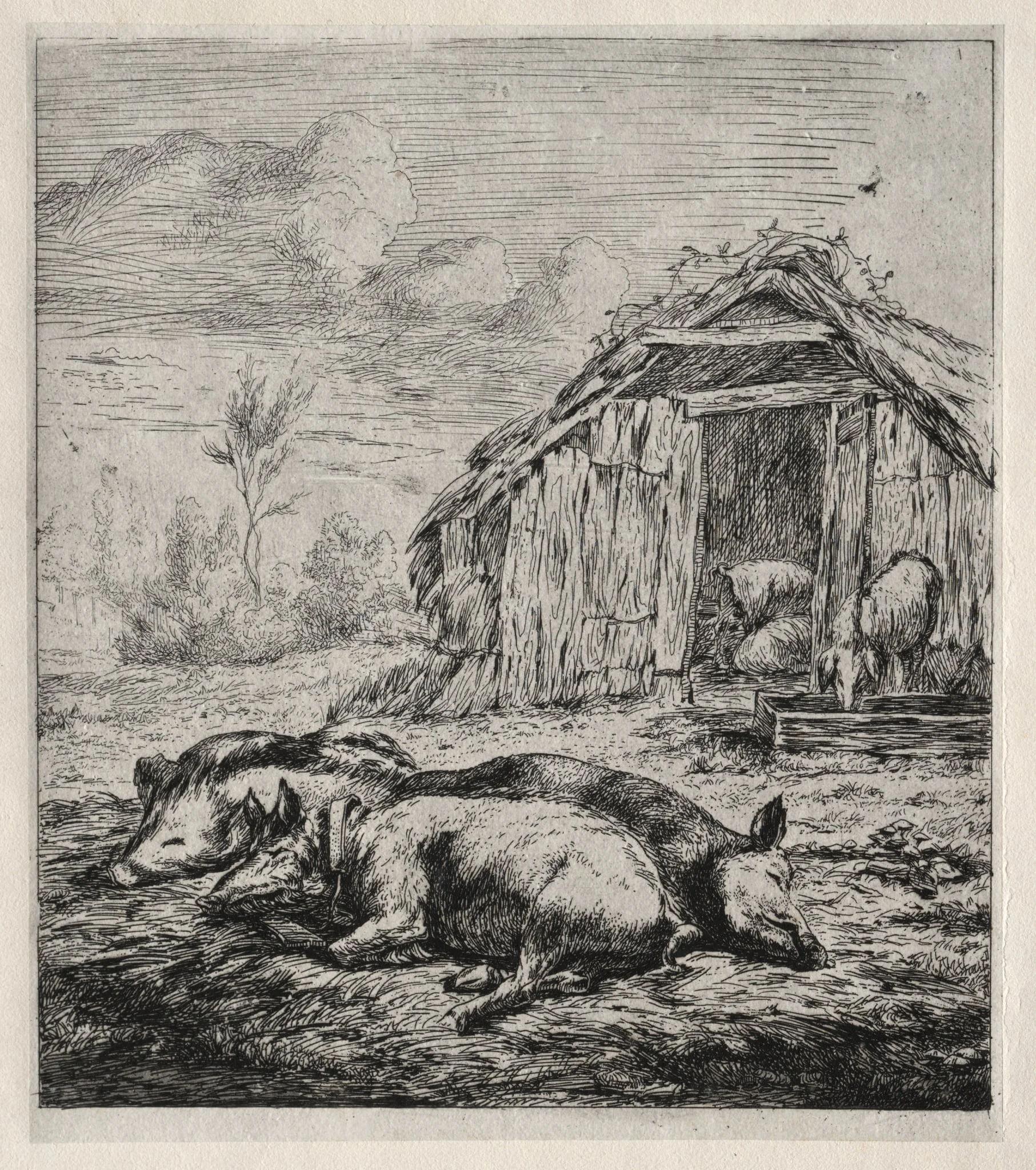 Three Swine Lying in Front of a Sty, detail