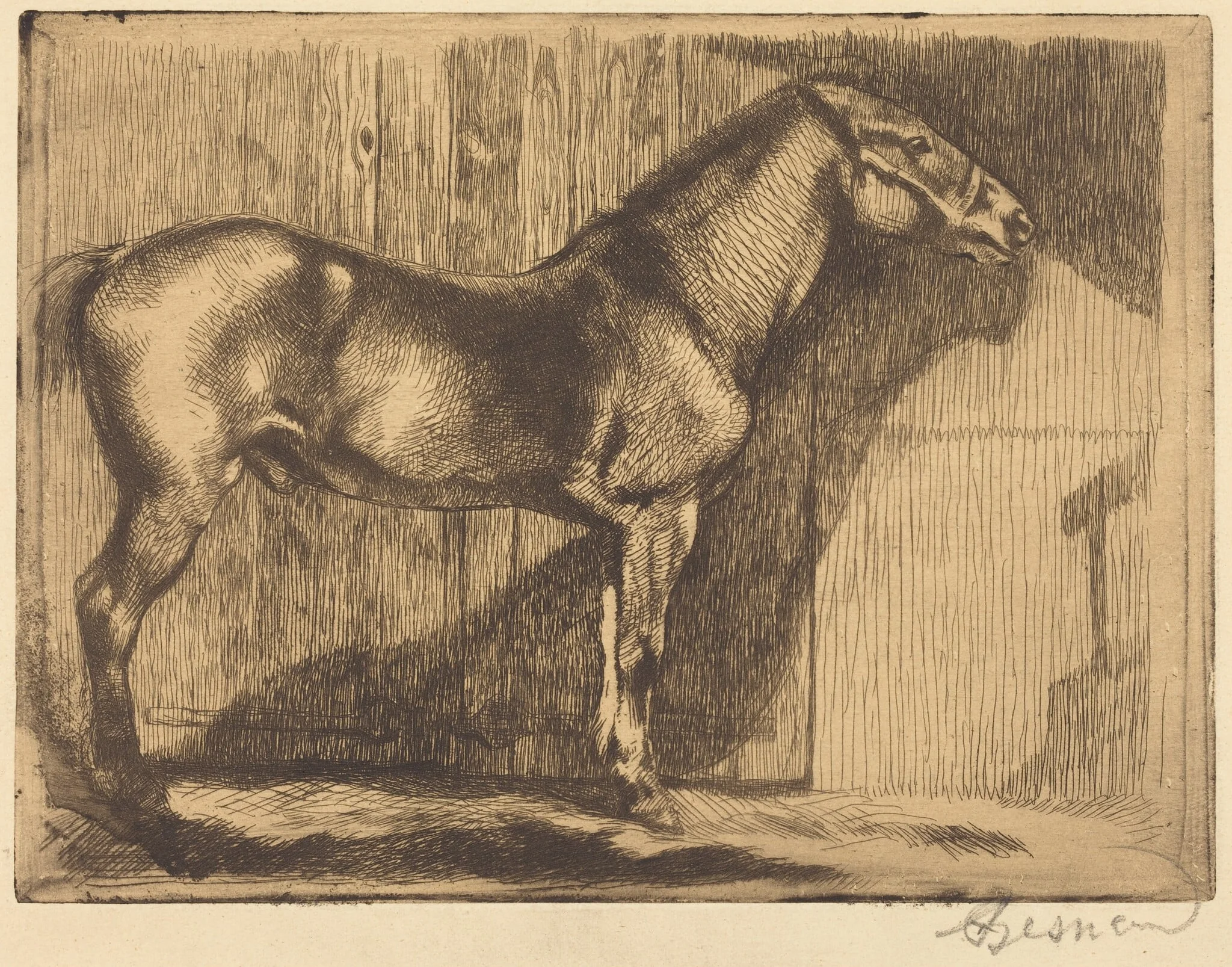 Pony (Le poney), detail