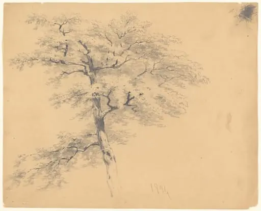 Tree, by James Goodwyn Clonney, graphite, 1839