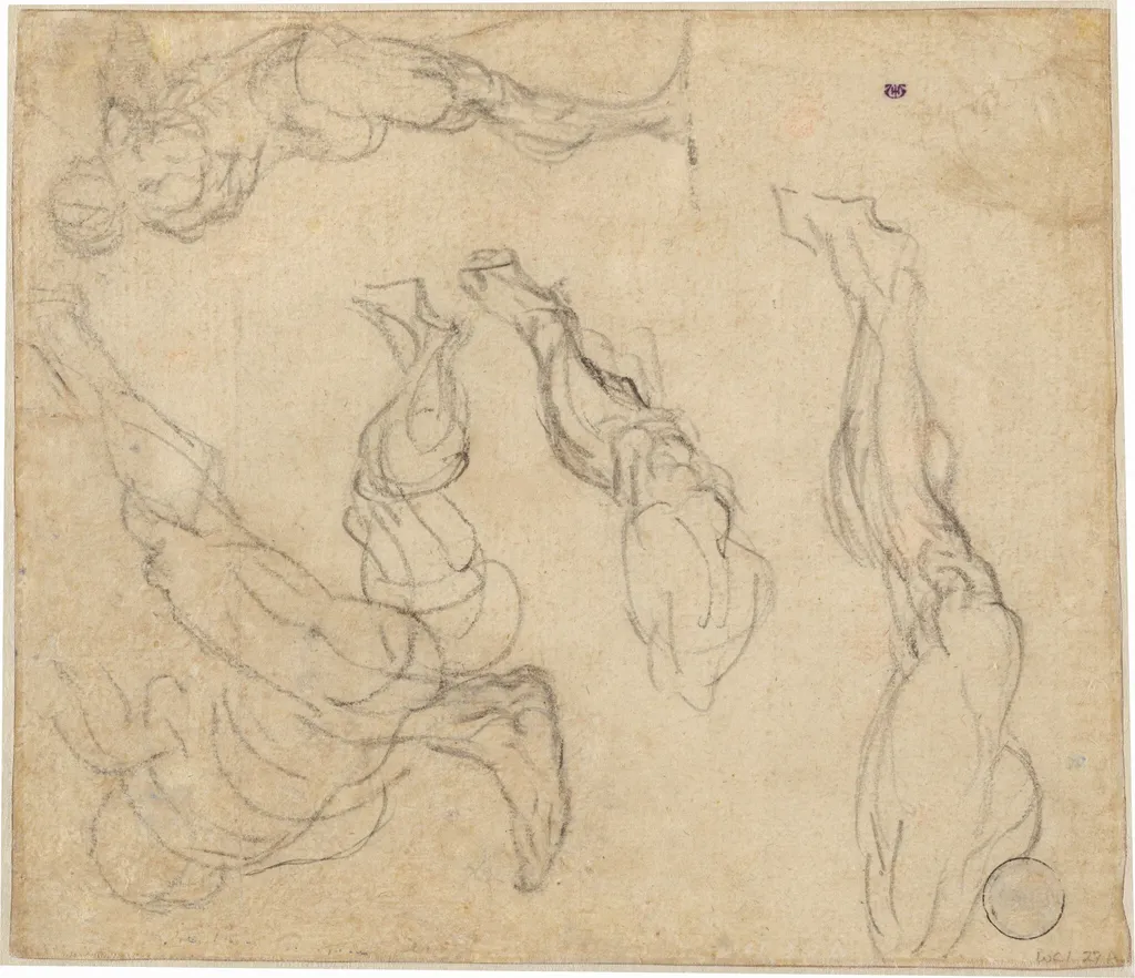 Head of a Boy (verso), by Giulio Campagnola, ink, 1513