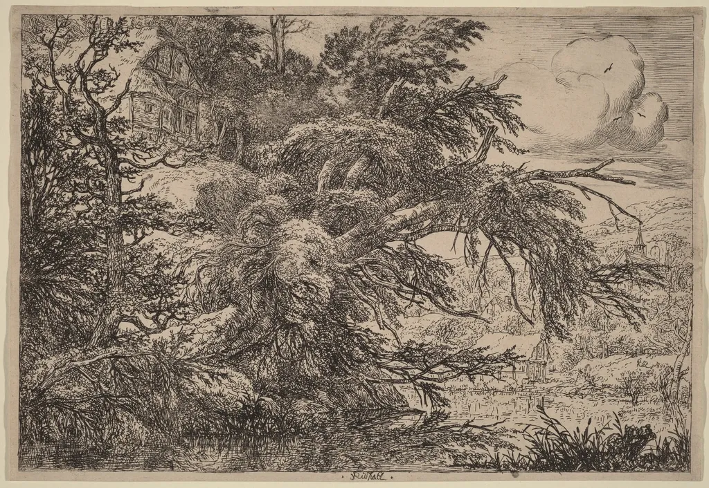Cottage on a Hill, by Jacob van Ruisdael, ink, 1655