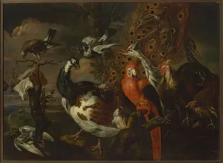 Bird concert, by Jan Fyt, oil, 1650