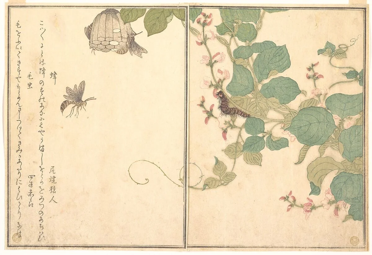 『画本虫撰』 「蜂」「毛虫」|Paper Wasp (Hachi); Hairy Caterpillar (Kemushi), from the Picture Book of Crawling Creatures (Ehon mushi erami), detail