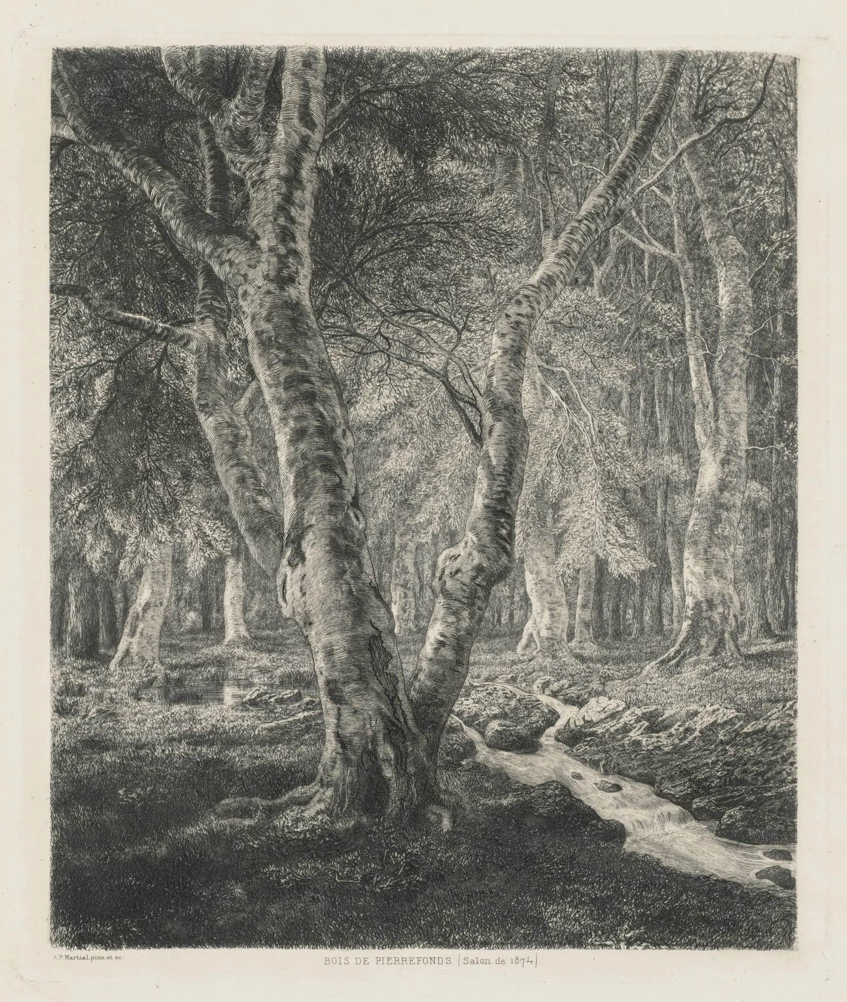 Bois de Pierrefonds, detail