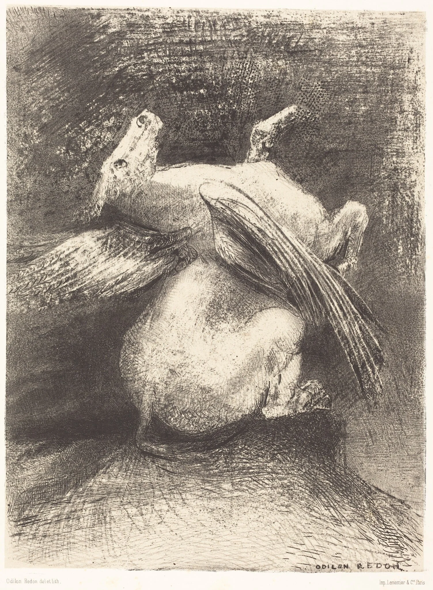 L'Aile impuissante n'eleva point la bete en ces noirs espaces (The impotent wing did not lift the animal into that black space, detail