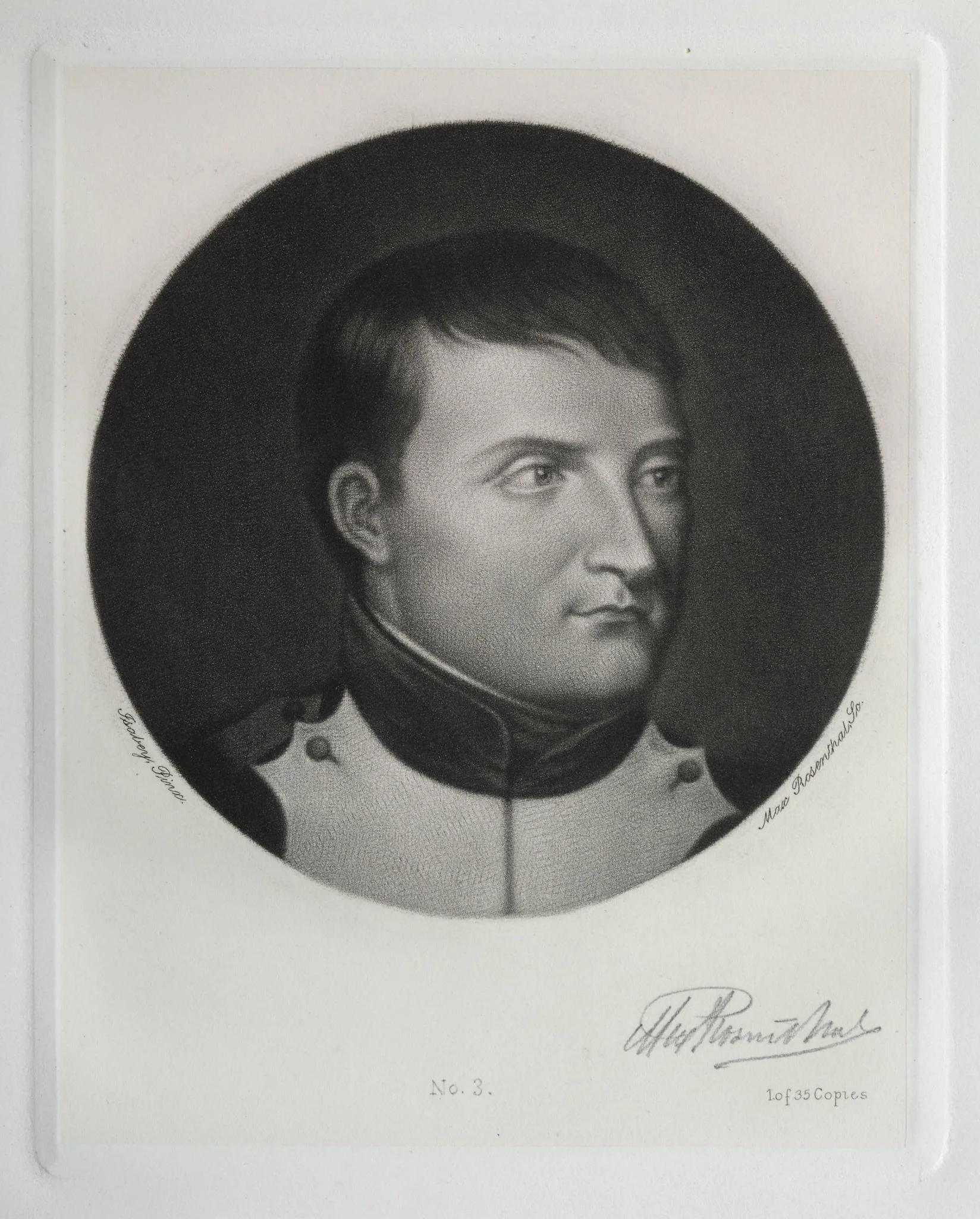Napoleon Bonaparte, detail