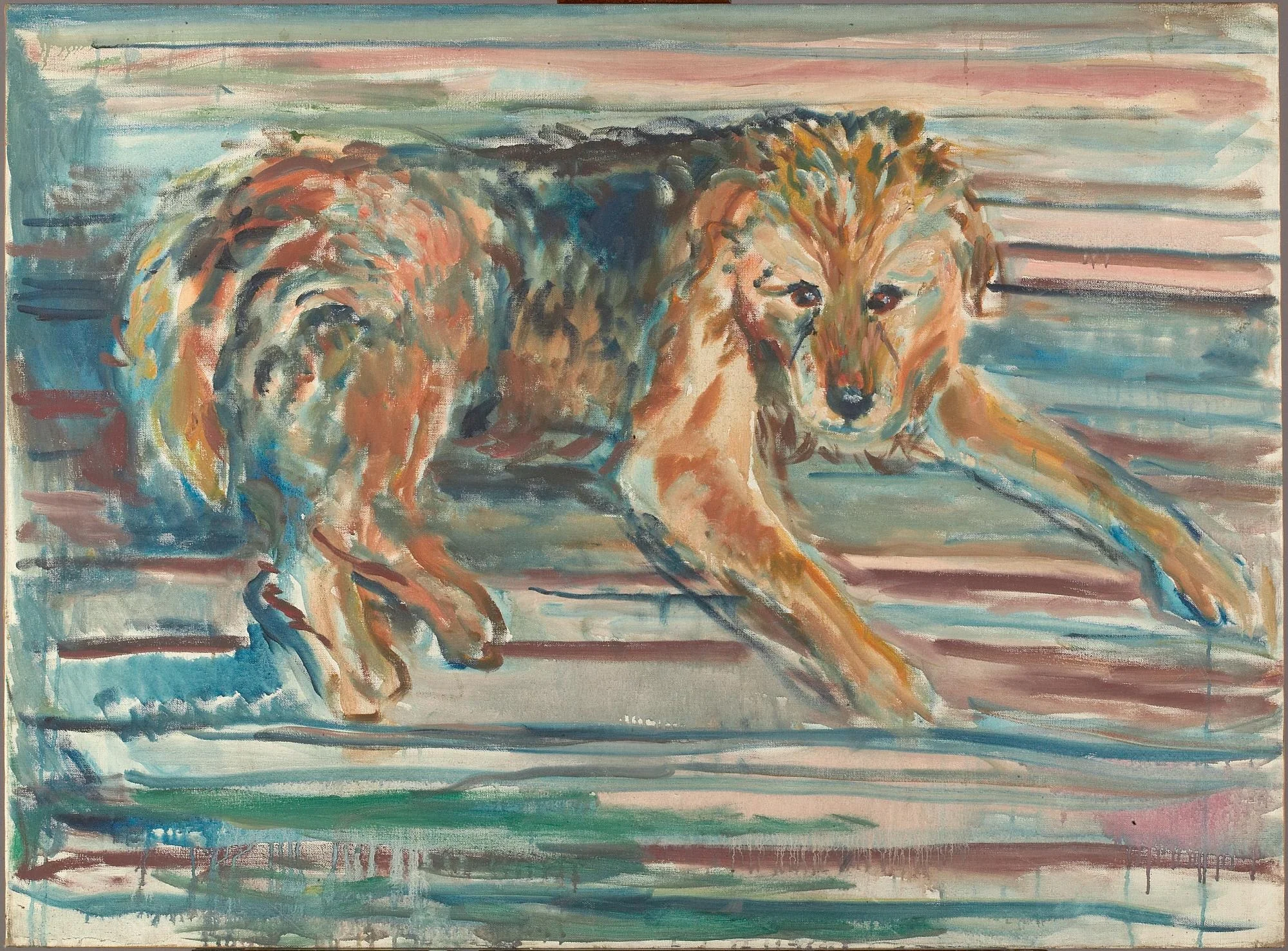 Airdale Terrier, detail