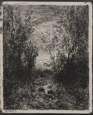 A Stream in a Glade, by Charles François Daubigny, 1862