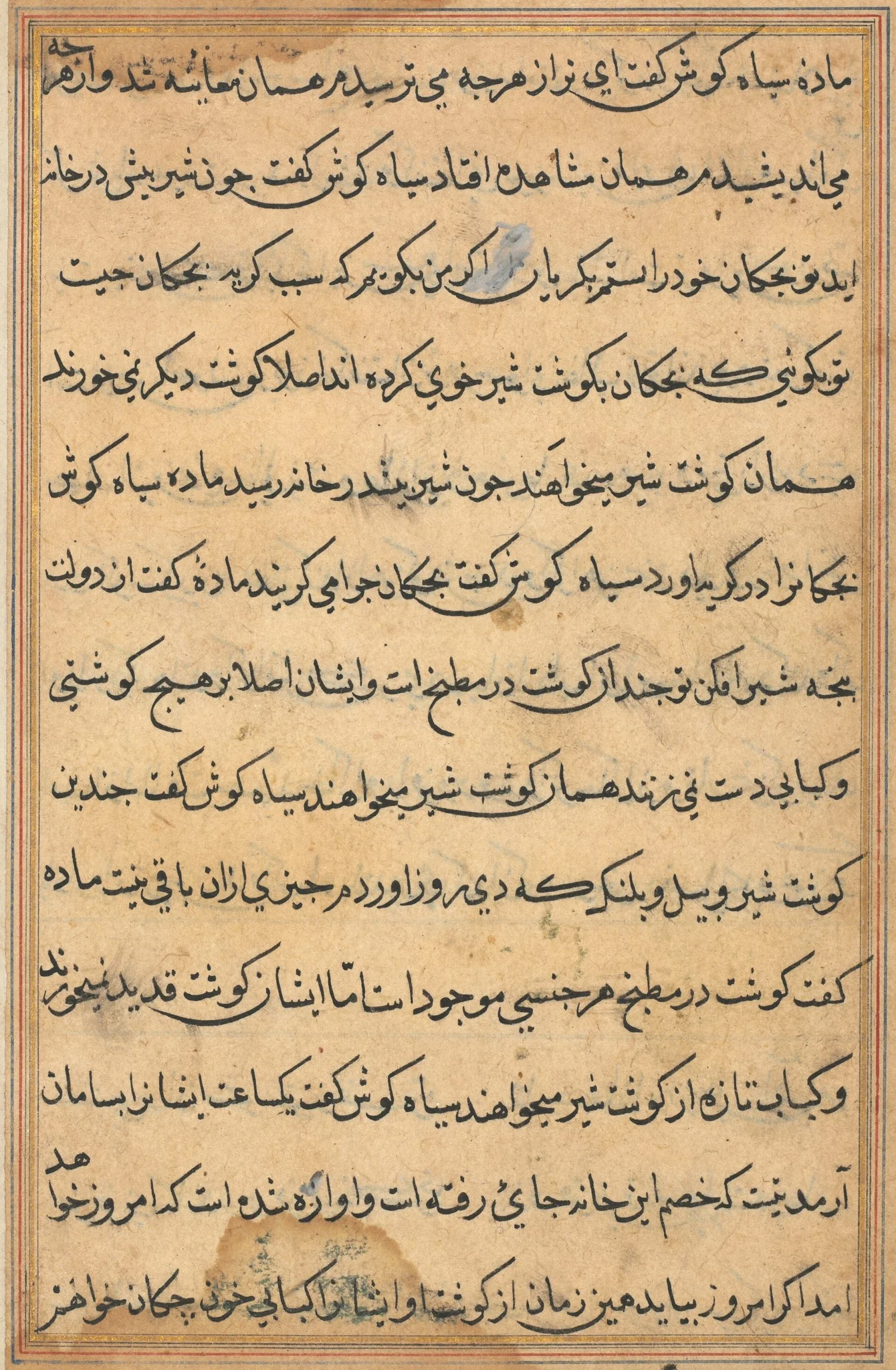 Page from Tales of a Parrot (Tuti-nama): text page, detail