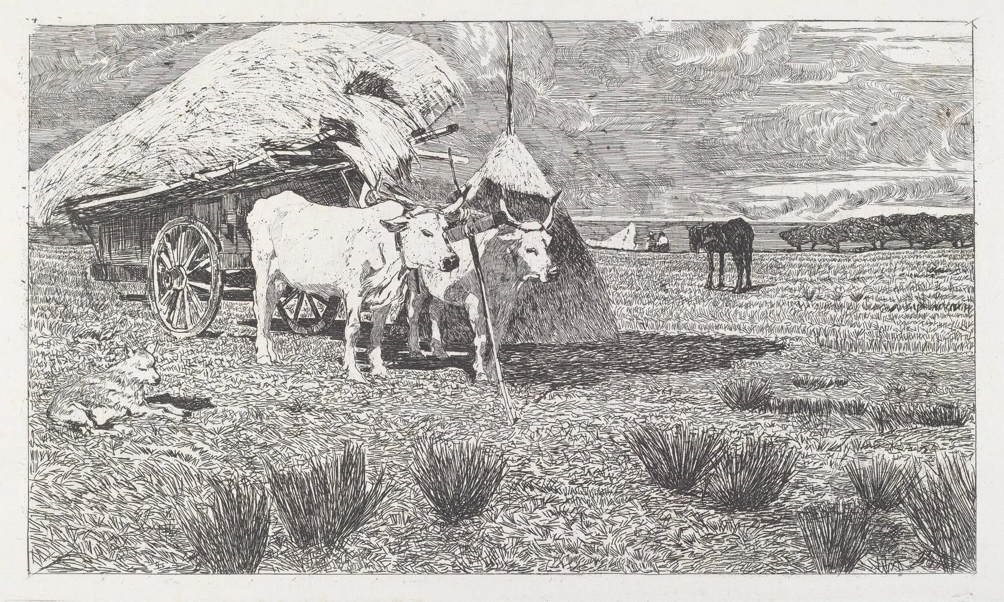 Oxen Yoked to a Cart (Maremma) (Bovi al carro (Maremma)), detail