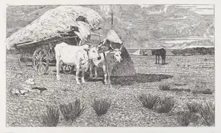 Oxen Yoked to a Cart (Maremma) (Bovi al carro (Maremma)), by Giovanni Fattori, ink, 1886