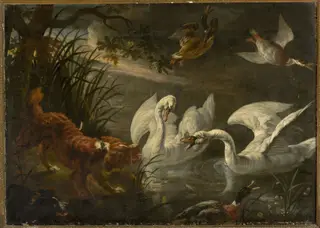 Dog and swans, by Jan Fyt, oil, 1646