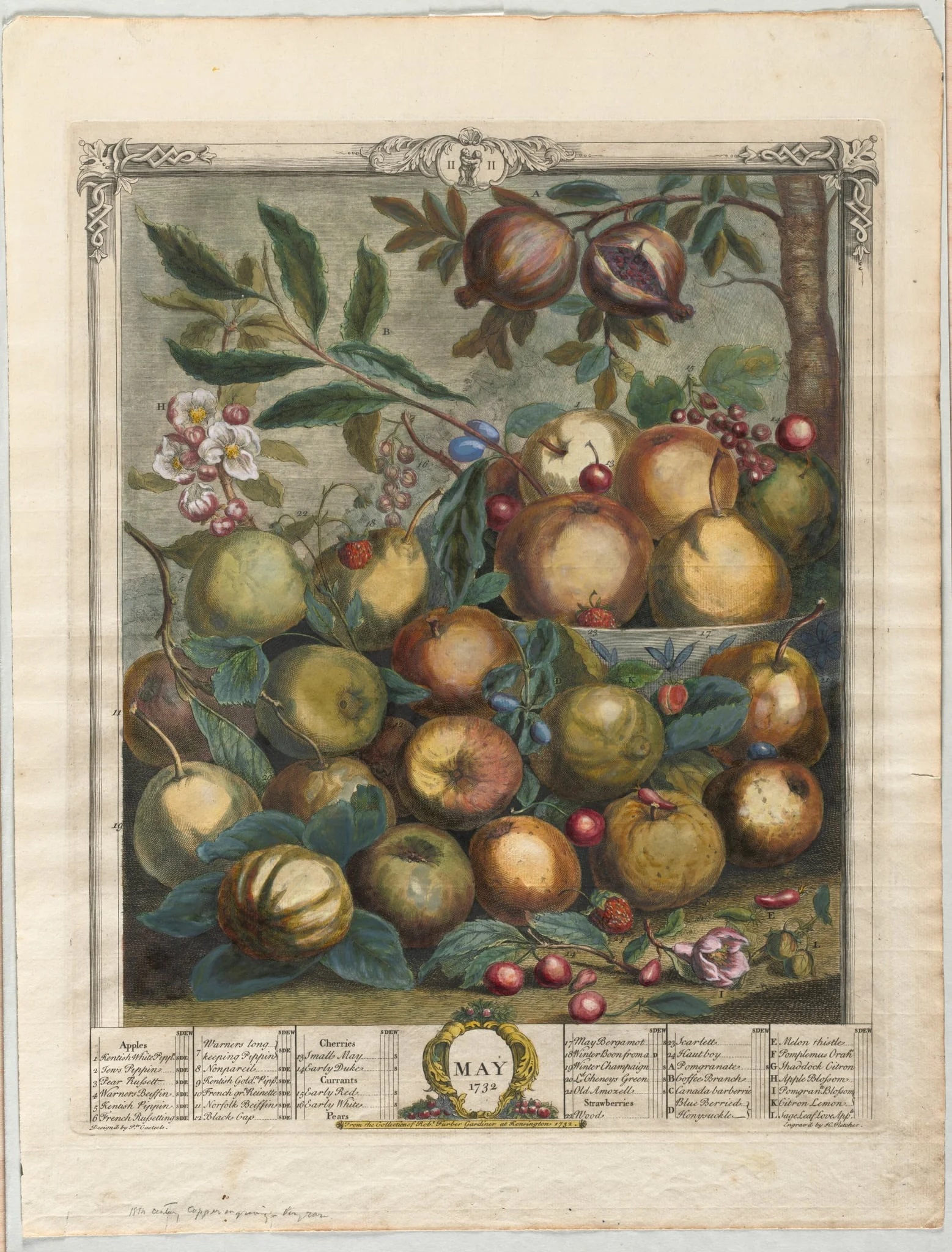 Twelve Months of Fruit: May, detail