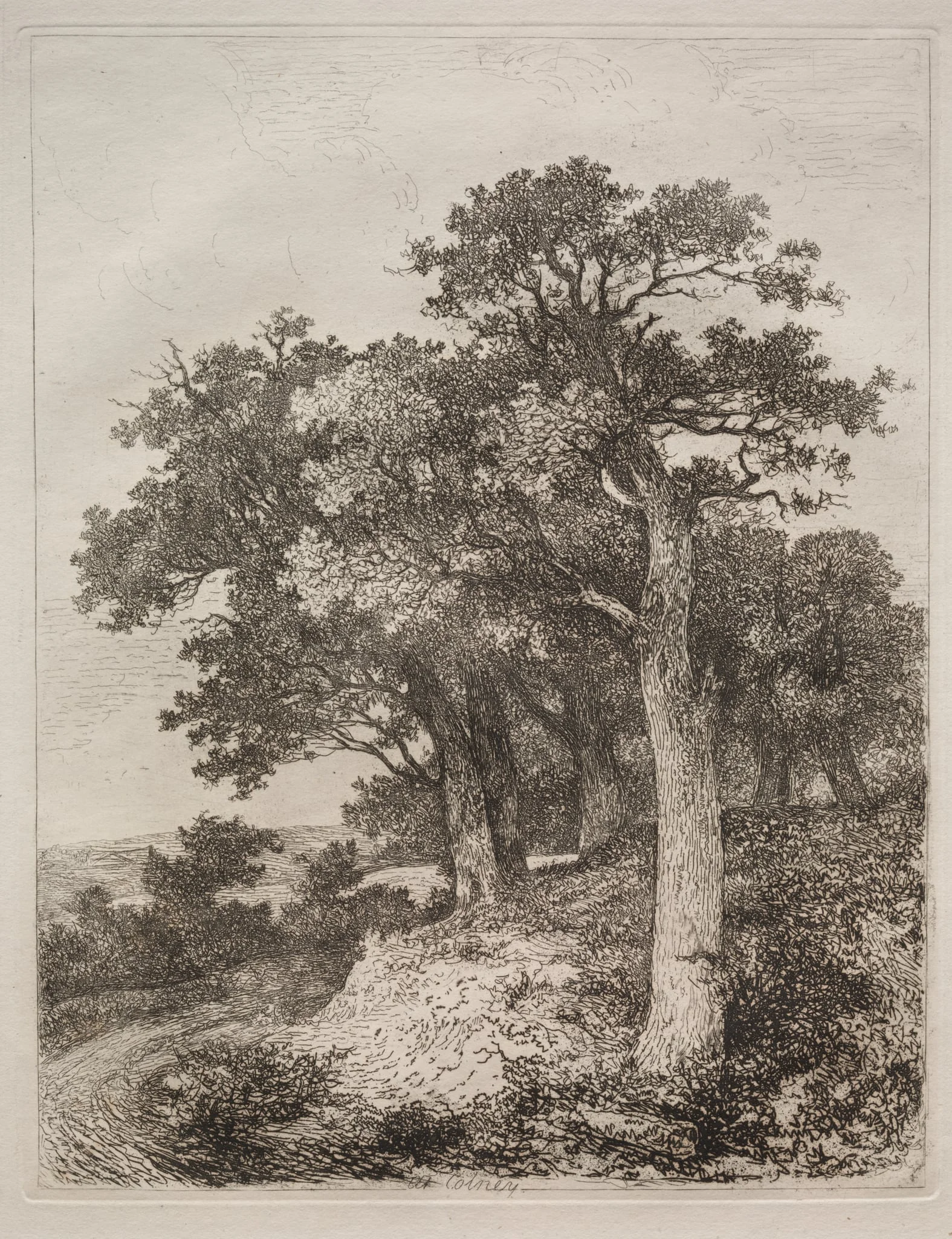 At Colney, detail