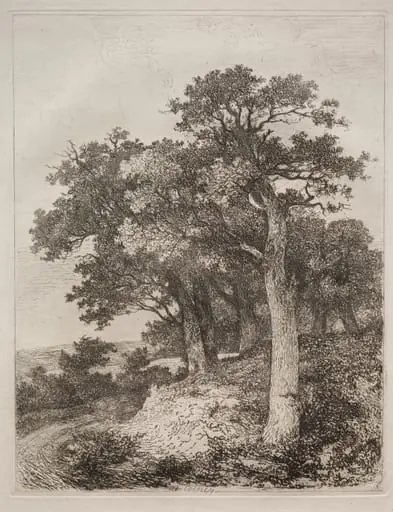 At Colney, by John Crome, 1804