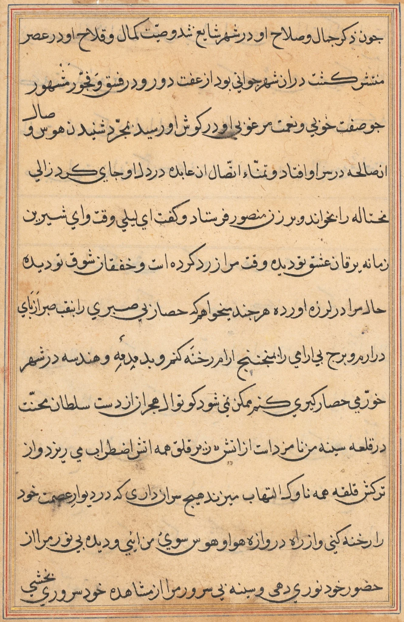 Page from Tales of a Parrot (Tuti-nama): text page, detail