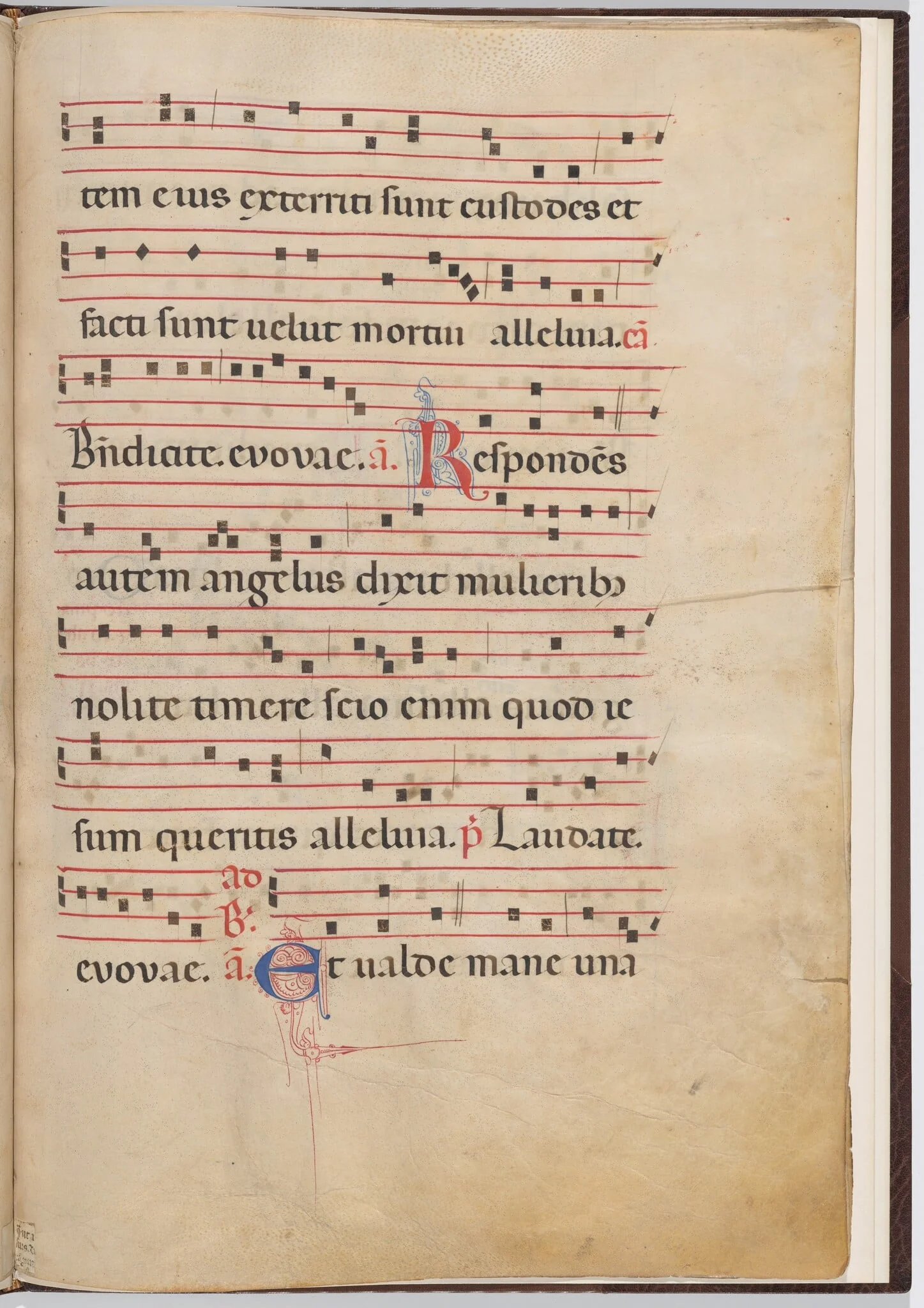 Leaf 4 from an antiphonal fragment, detail