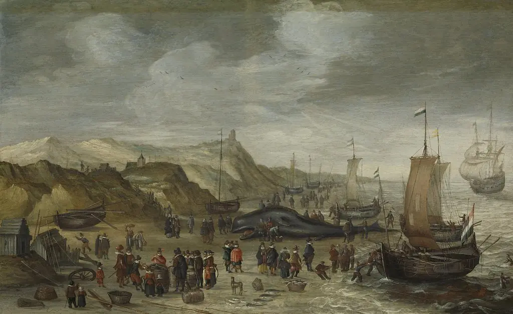 A Sperm Whale Washed up on the Beach at Noordwijk, 28 December 1614, by Hans Savery the Elder, oil, 1620