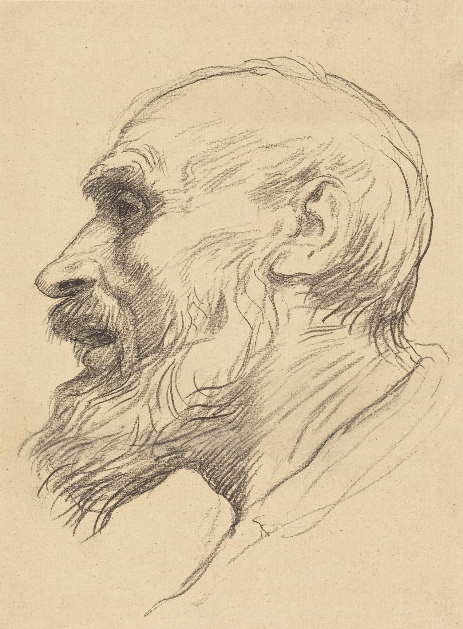 Head of an Old Man, detail