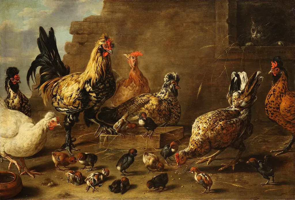 The chicken yard, by Adriaen van Utrecht, paint, 1643