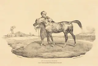 An Arabian Horse, by Théodore Géricault, ink, 1821