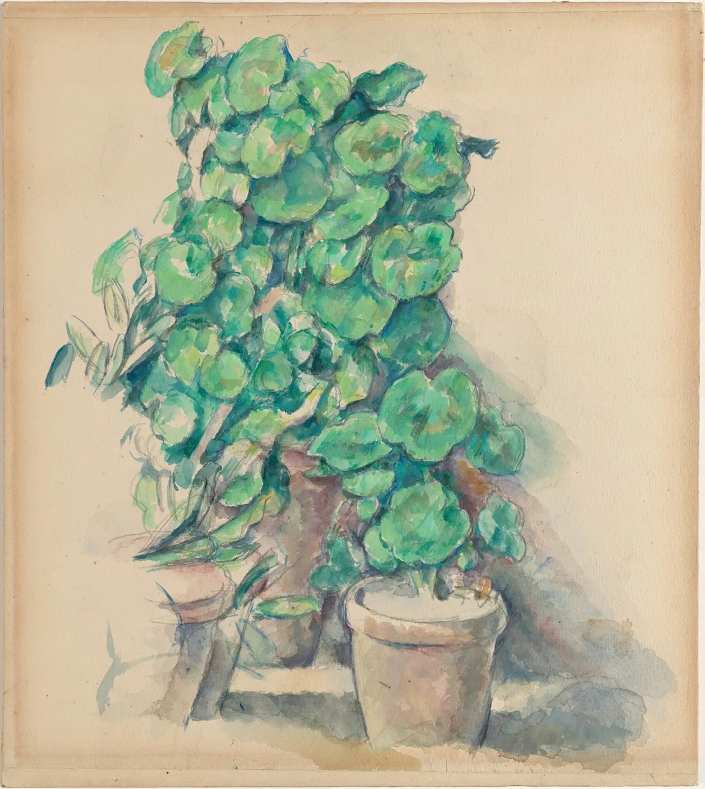 Geraniums, by Paul Cezanne, graphite, 1889