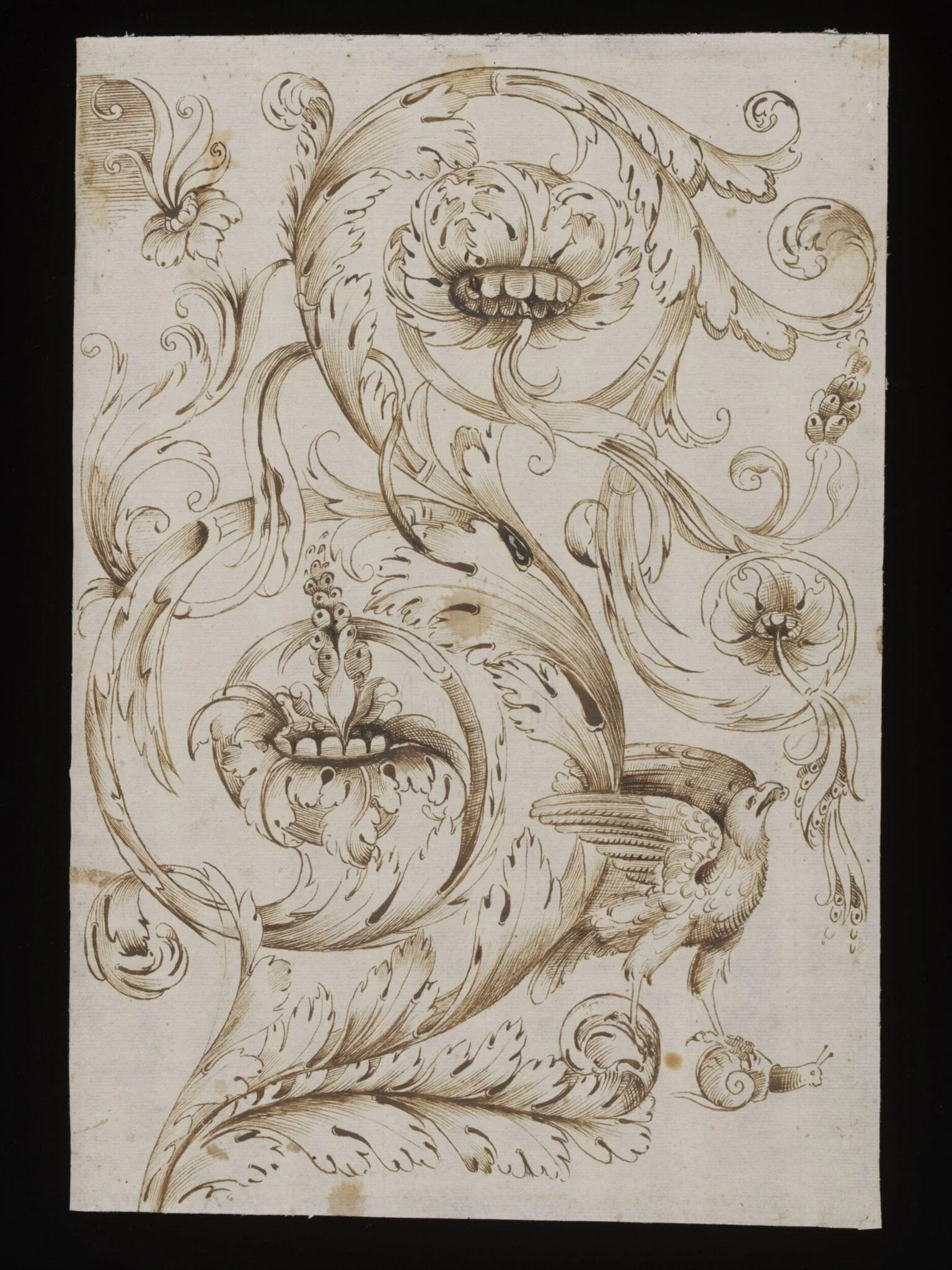 Decorative acanthus scrollwork with bird of prey and snail, detail