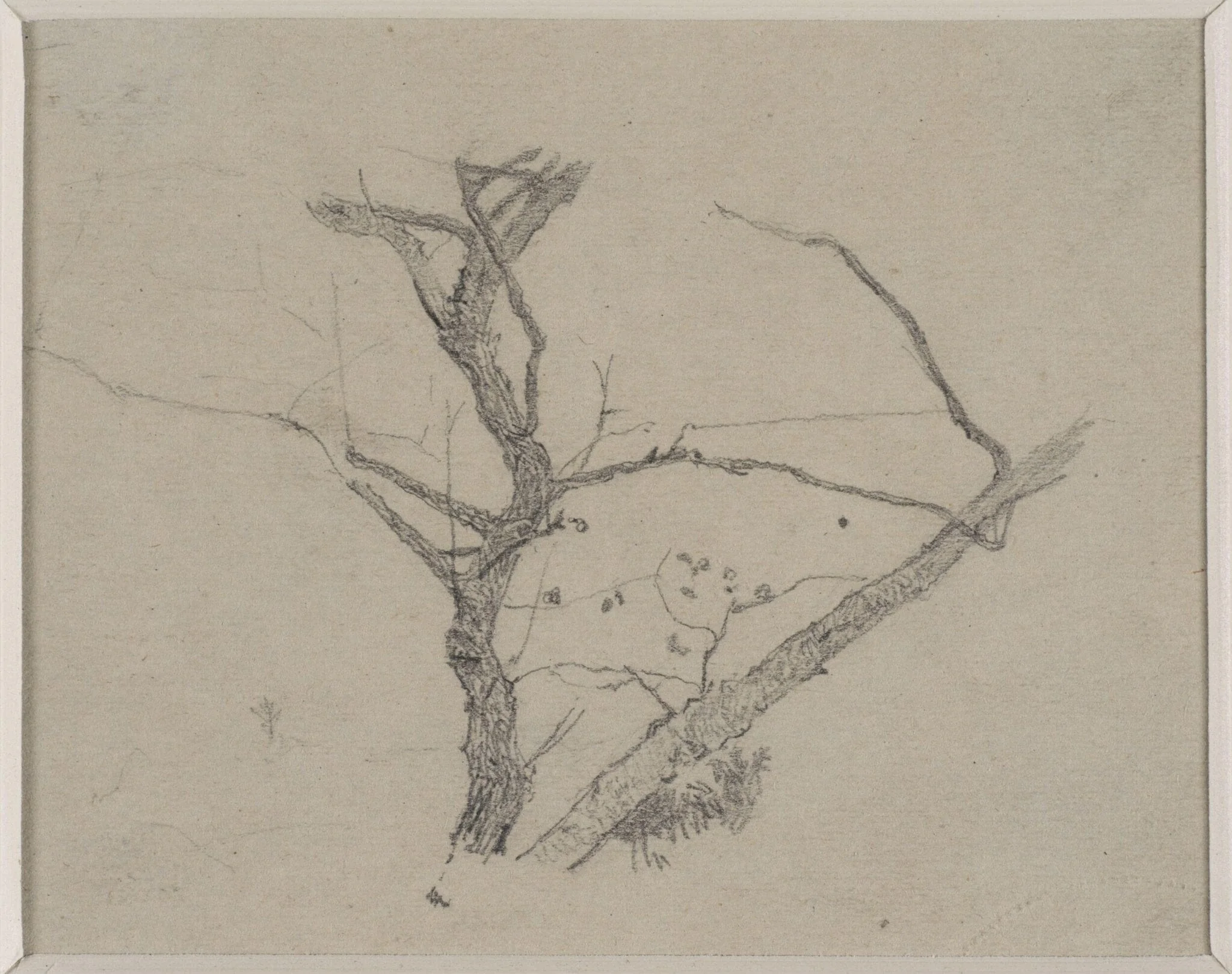 Untitled, detail