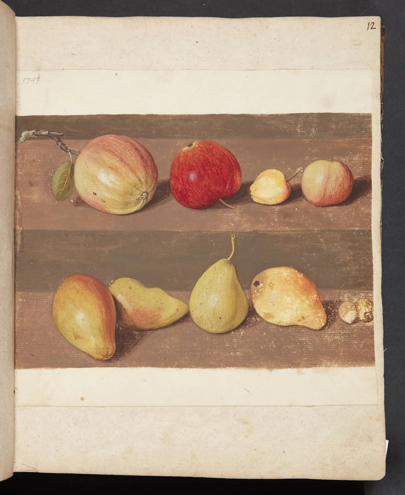 Studie af æbler og pærer, detail