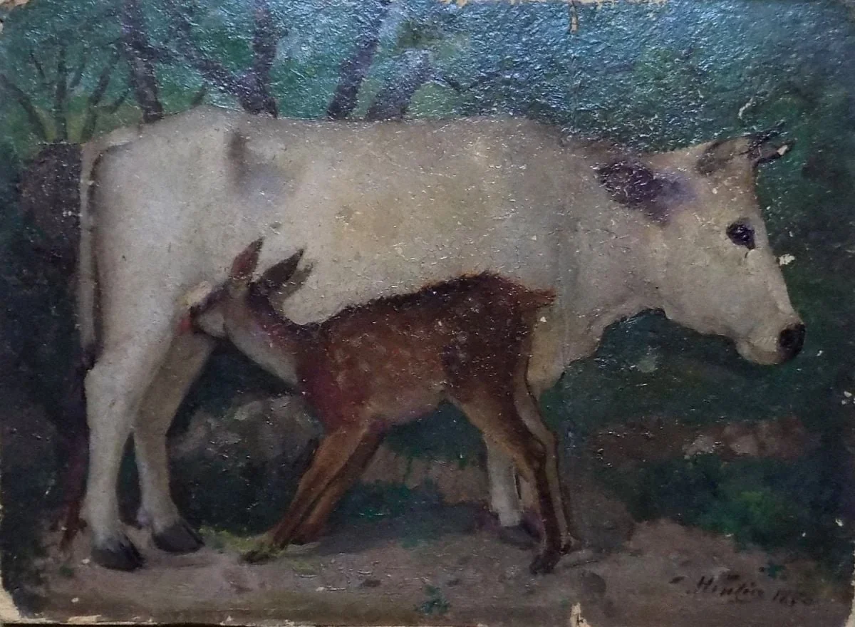 Vacă, detail