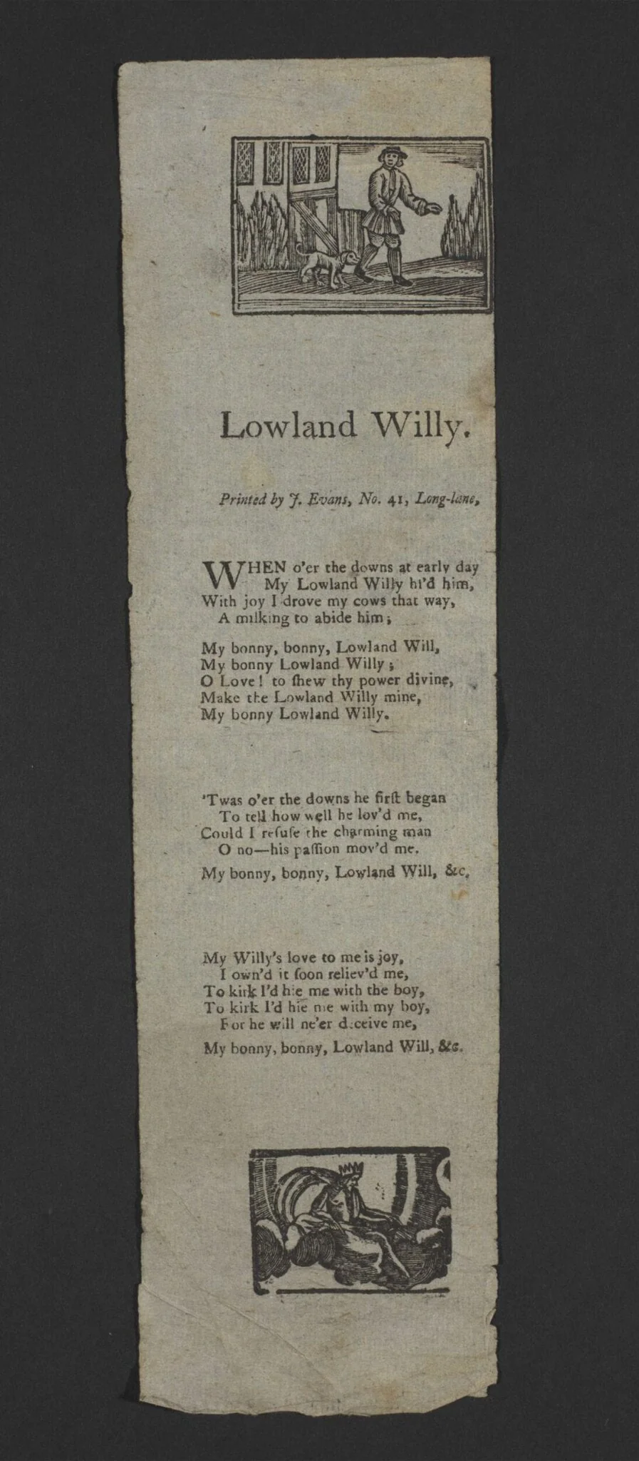 Lowland Willy, detail