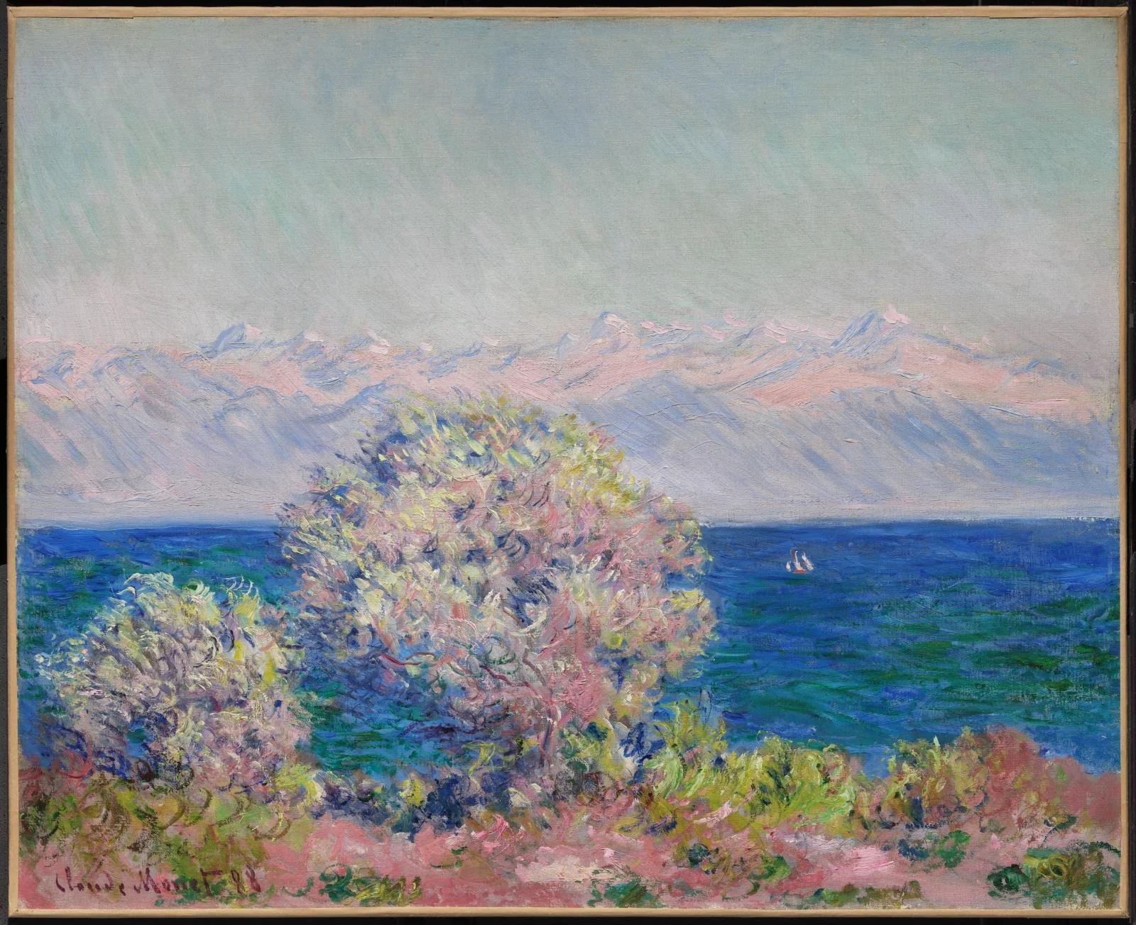 At Cap d'Antibes, Mistral wind, detail