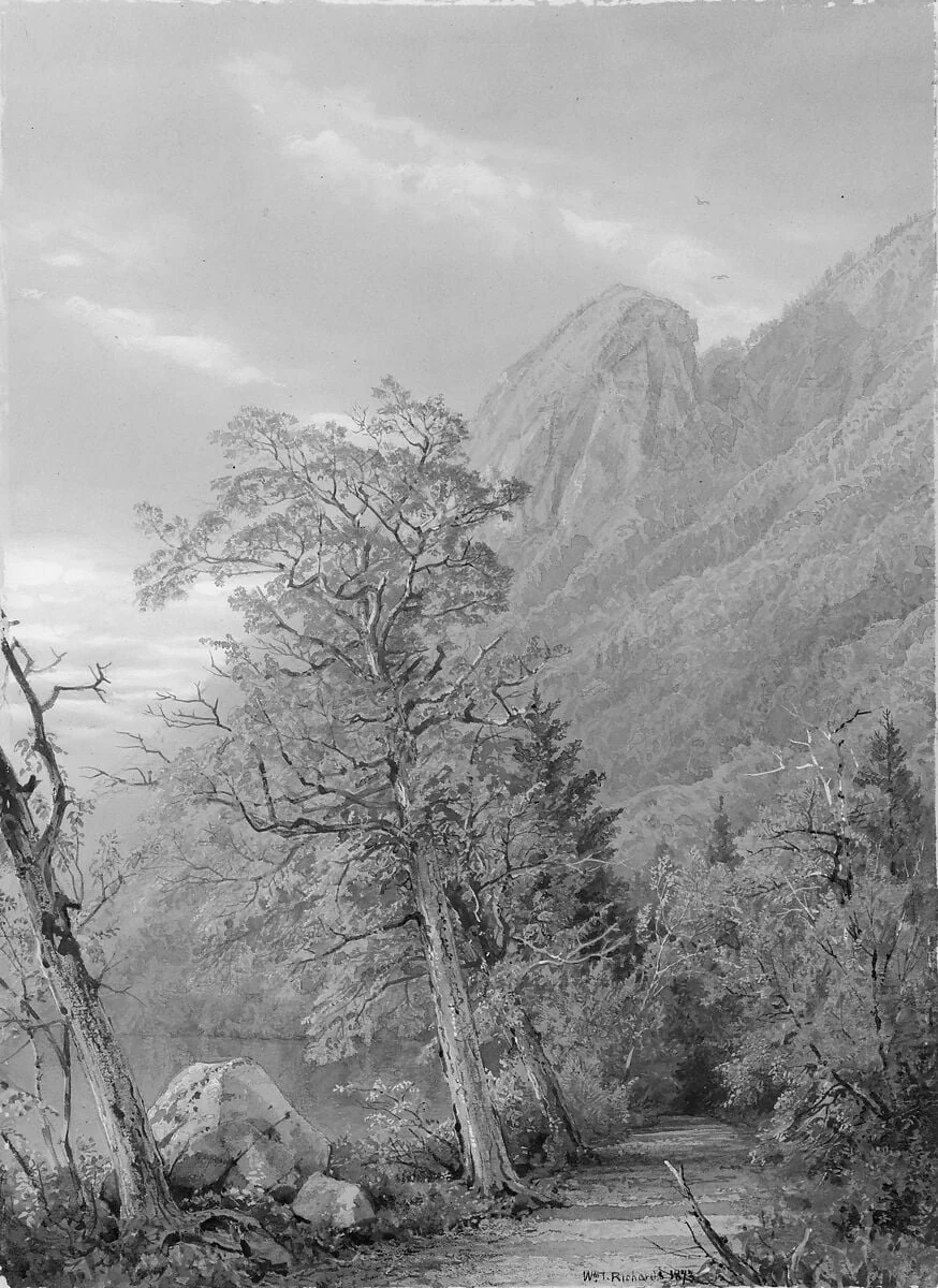 Eagle's Nest, Franconia Notch, detail