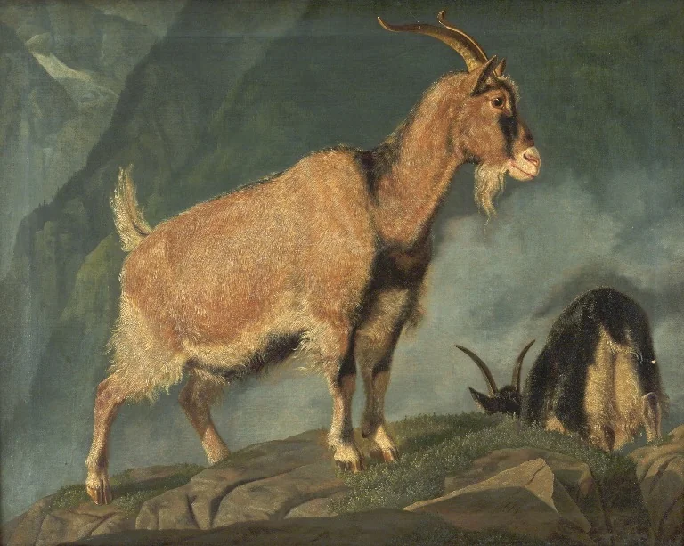 Geder i Alperne, detail