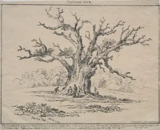 Fairlop Oak, by D. H. Redman, 1811