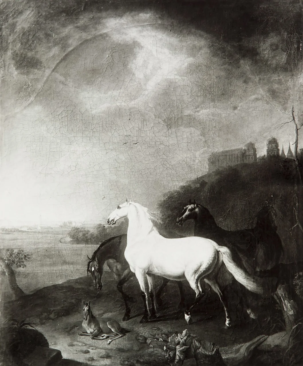 Pferde auf der Weide, detail