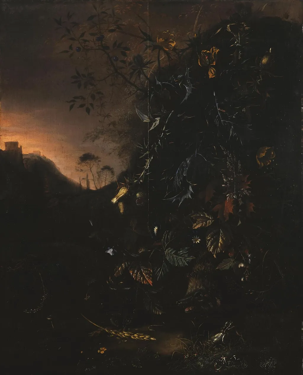 Flowers, a Hedgehog and a Frog, by Matthias Withoos, oil, 1660