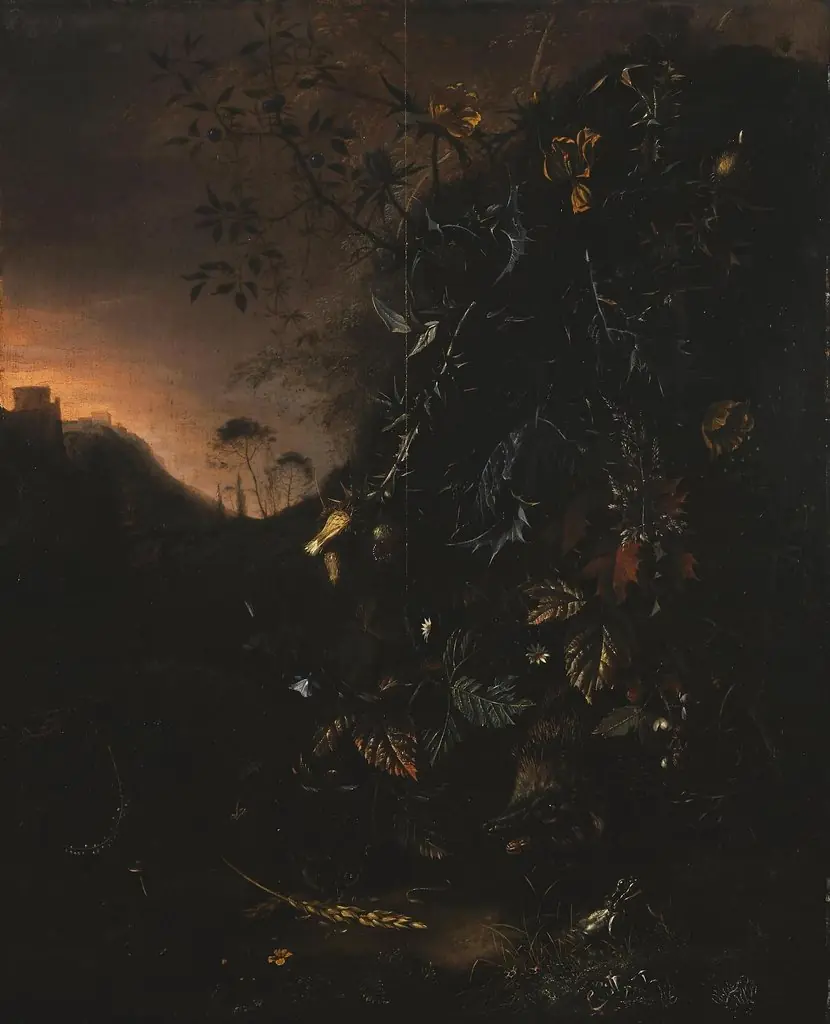 Flowers, a Hedgehog and a Frog, by Matthias Withoos, oil, 1660