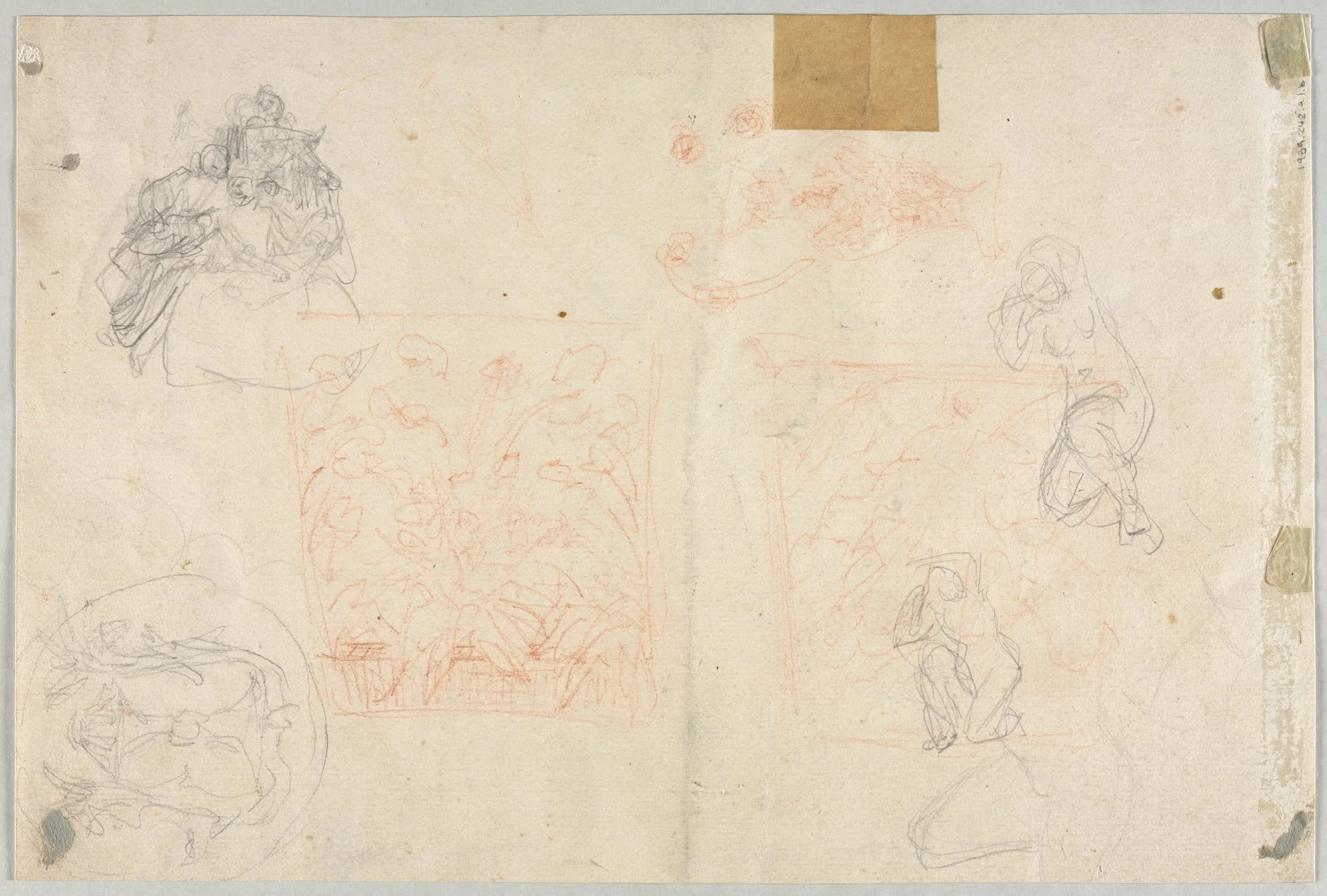 Various Sketches of Figures and Plants (verso), detail