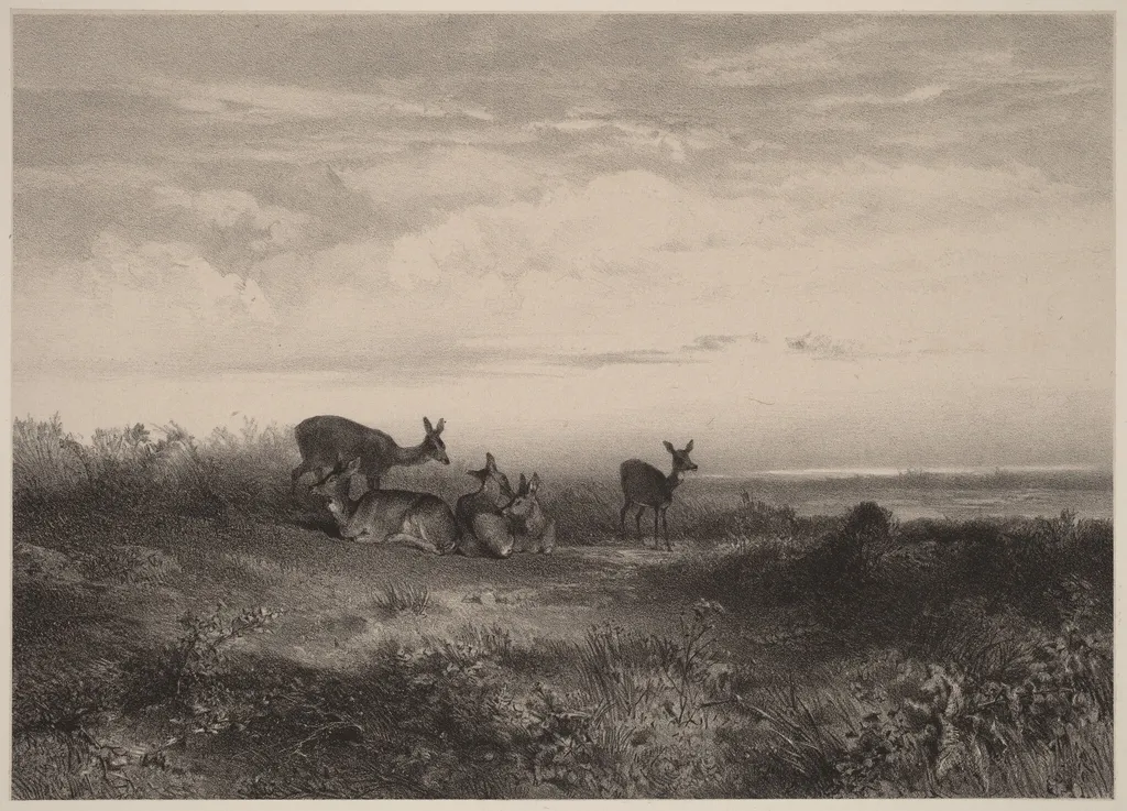 Les biches, by Karl Bodmer, ink, 1851