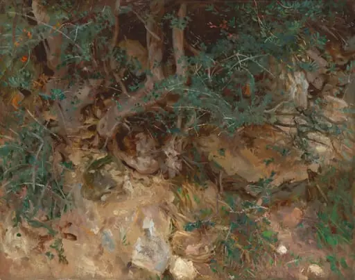 Wild Olive Tree Roots, Valldemosa, Majorca, by John Singer Sargent, oil, 1908