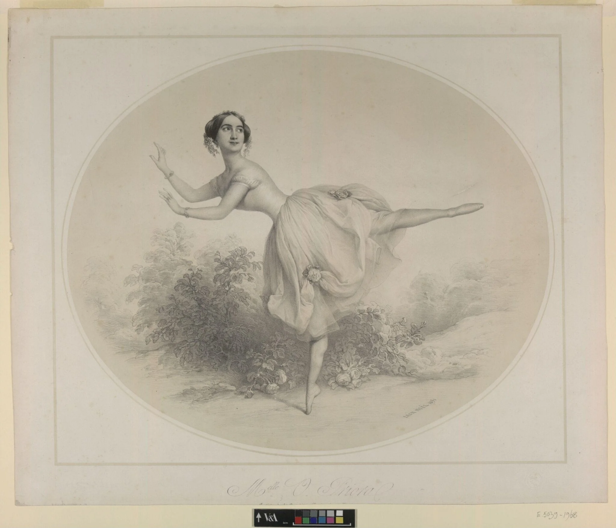 Melle O. Priora, detail
