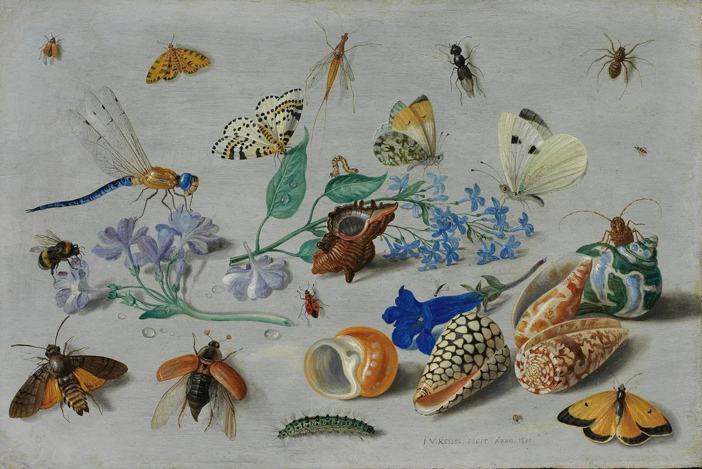 Butterflies and other insects, by Jan van Kessel the Elder, oil, 1661