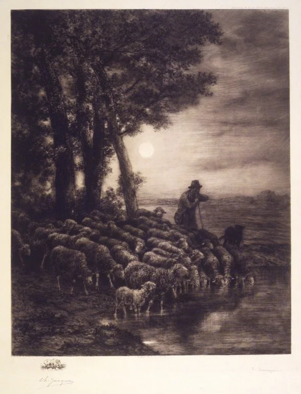 Moonlight, detail