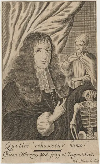 Dr. Gideon Harvey, Physician of Charles II and James II, by Abraham Hertochs, ink, 1639