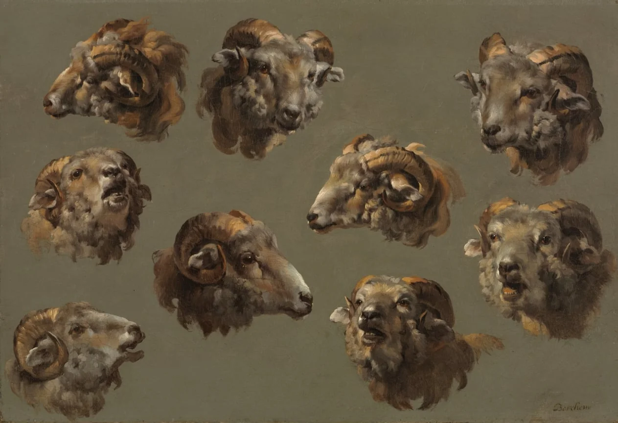 Studies of Ram Heads, detail