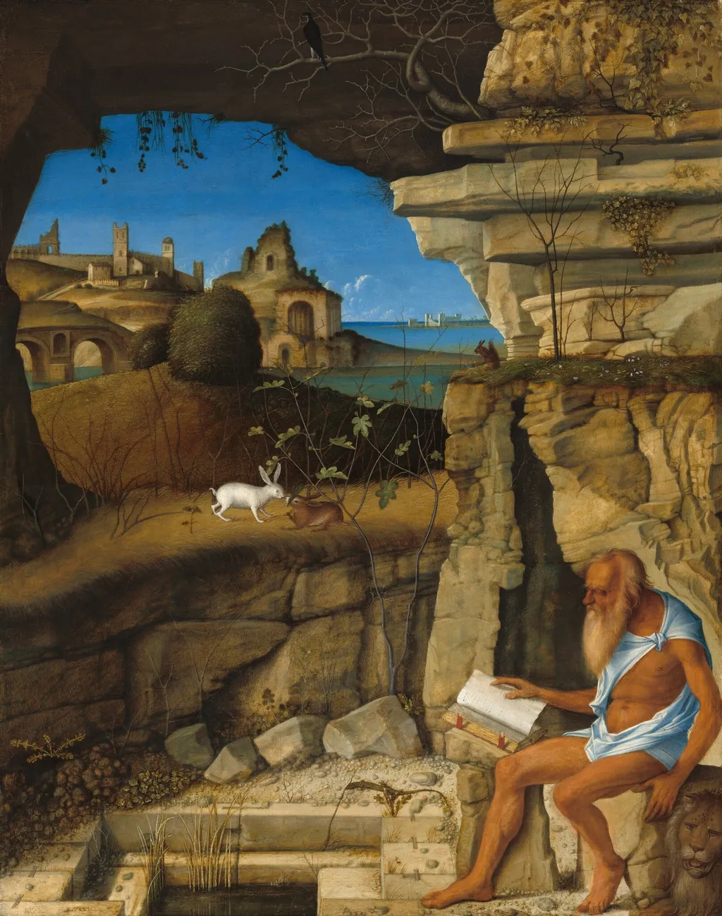 Saint Jerome Reading, by Giovanni Bellini, oil, 1505