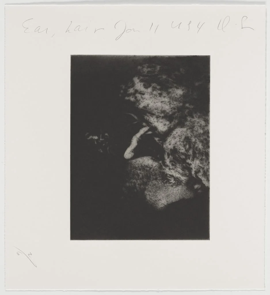 Untitled, detail